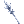 530034.png