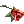5548.png